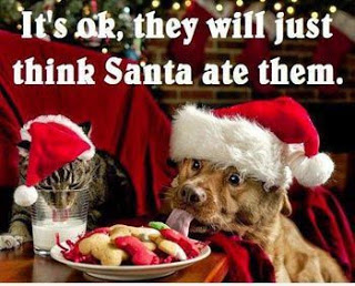 funny-christmas-quotes