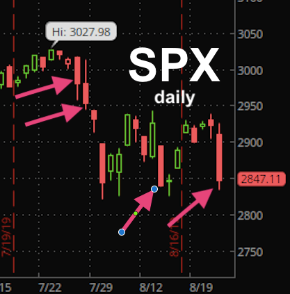 Screen Shot 2019-08-23 at 1.30.37 PM