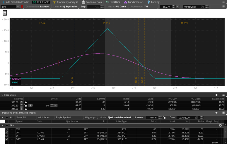 Jan 2021 Put Butterfly